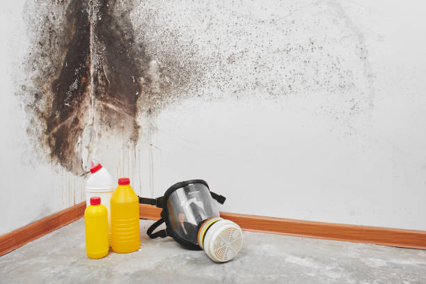 Triangle, VA Mold Removal Company