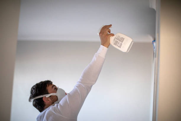 Best Commercial Mold Removal  in Triangle, VA
